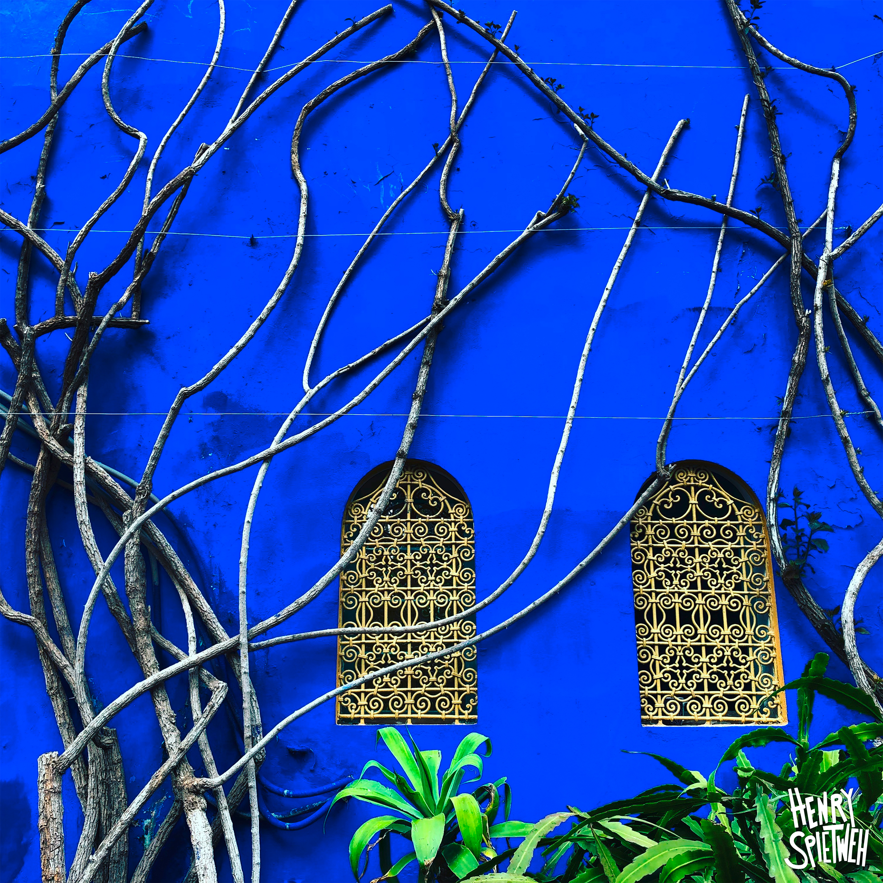 Bleu de Marrakech