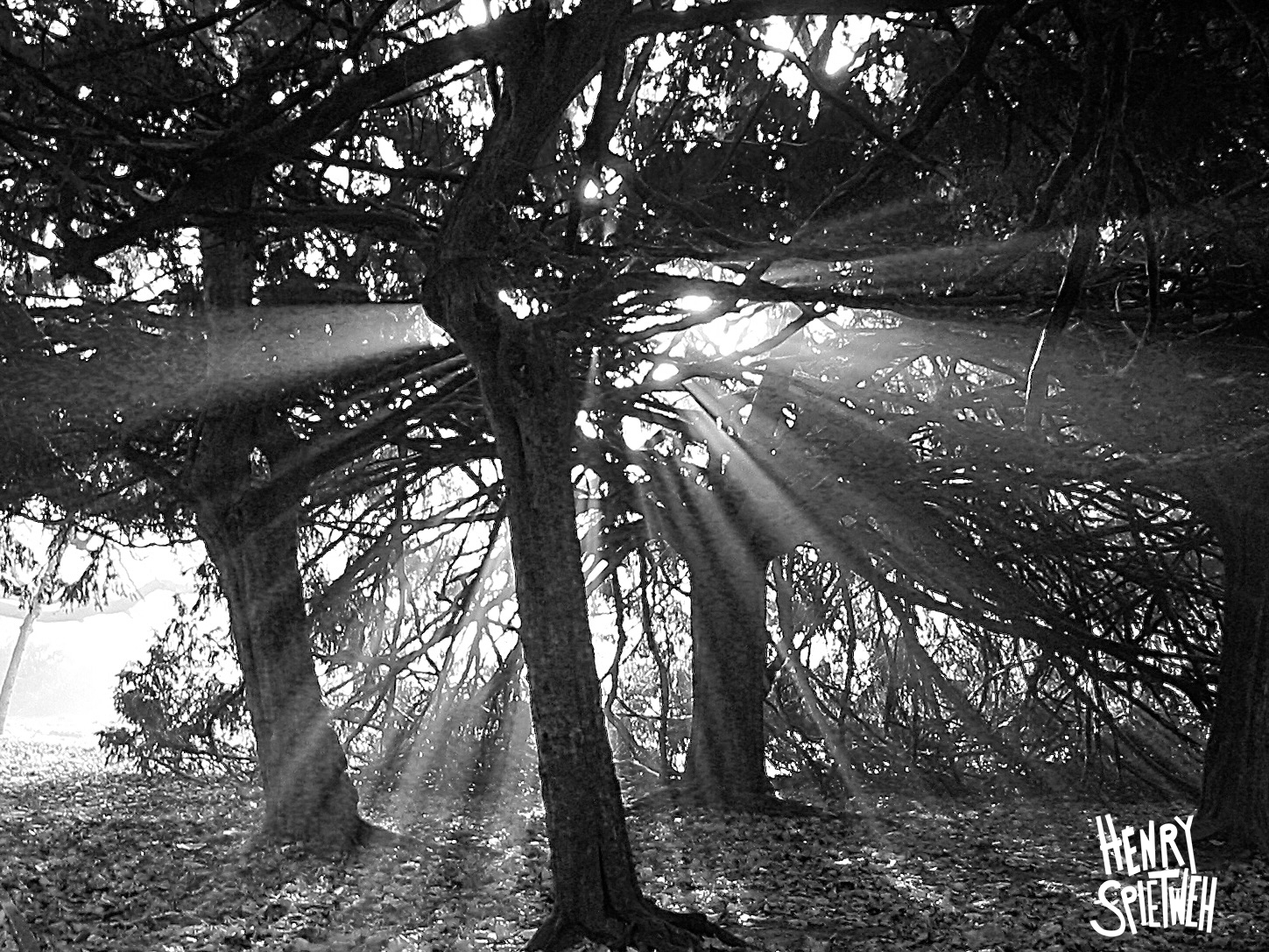 Abschied des Lichts